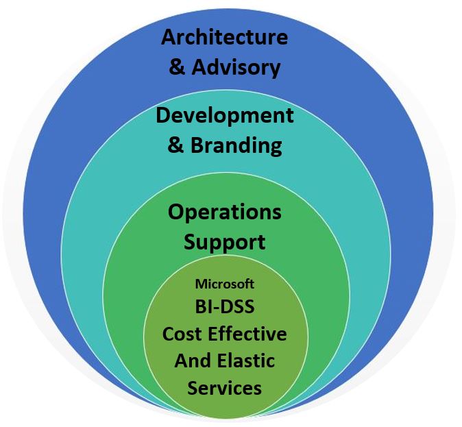 bi solutions dss graphic